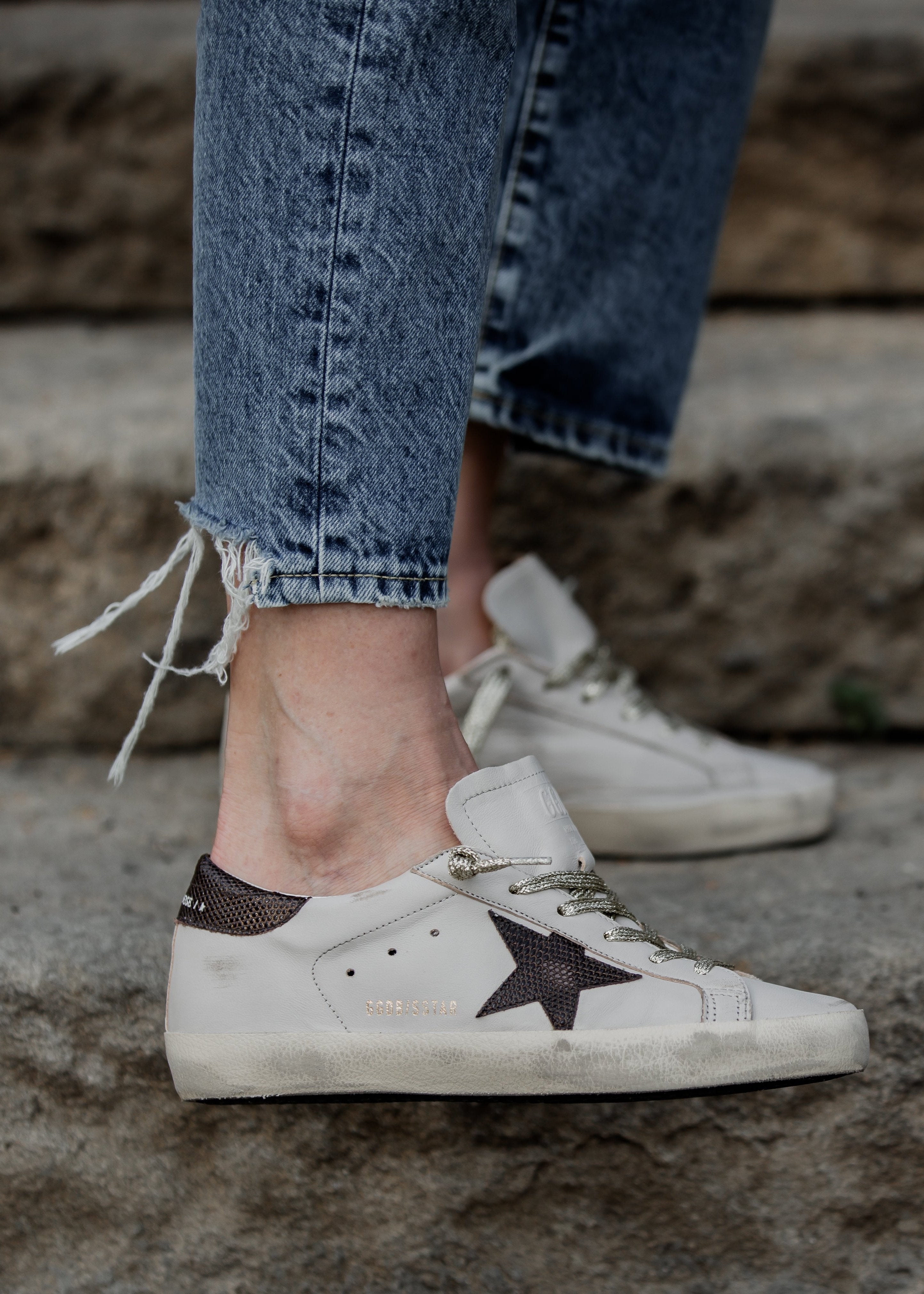 Superstar Sneaker Lizard Printed Star & Heel | Grey Morn/Black Plum