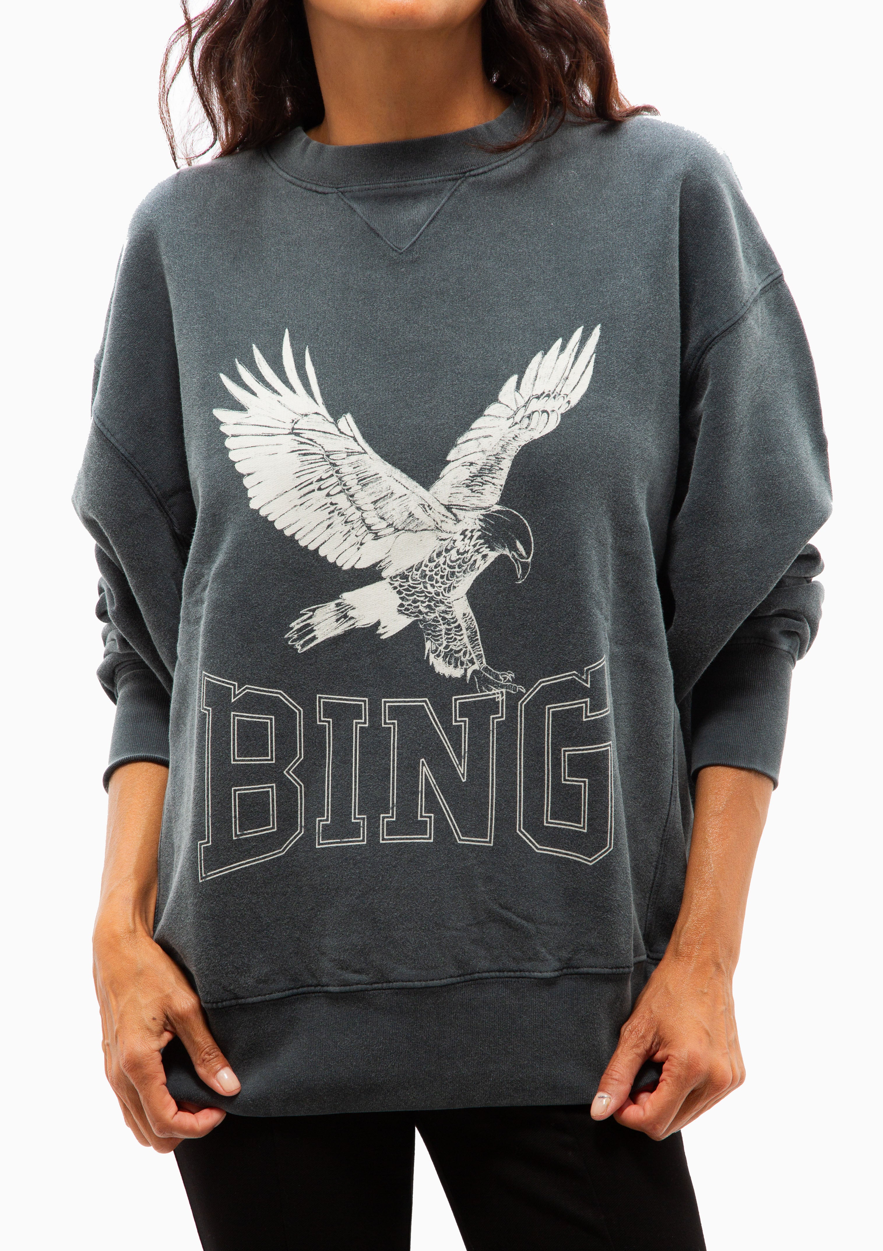 Anine Bing purchases Dark Grey Vintage Eagle-Graphic Sweatshirt