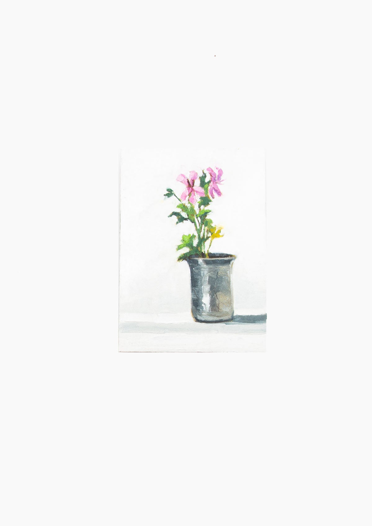 Geranium Silver Cup Oil Painting On Panel Mounted | 7"x5"