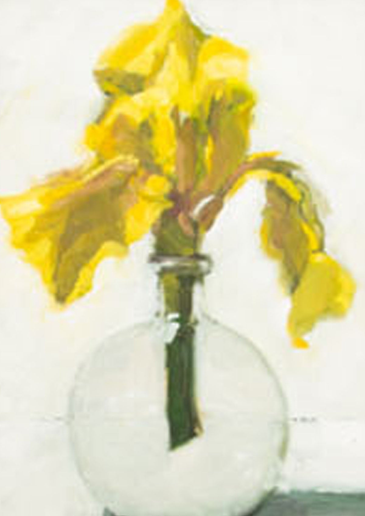 Yellow Iris Oil Painting On Panel | 7"x5"