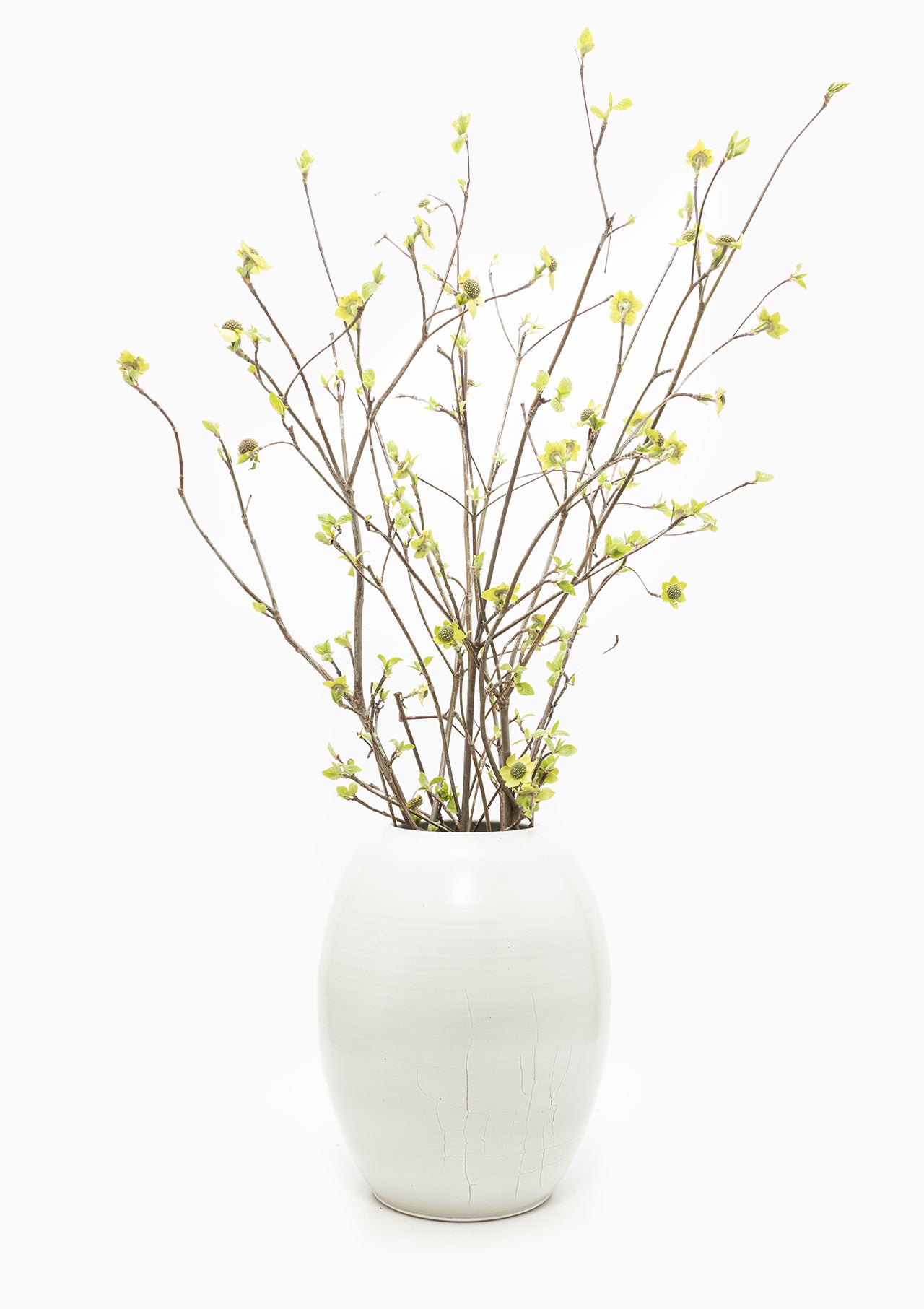 The Great Egg Vase | Speckled