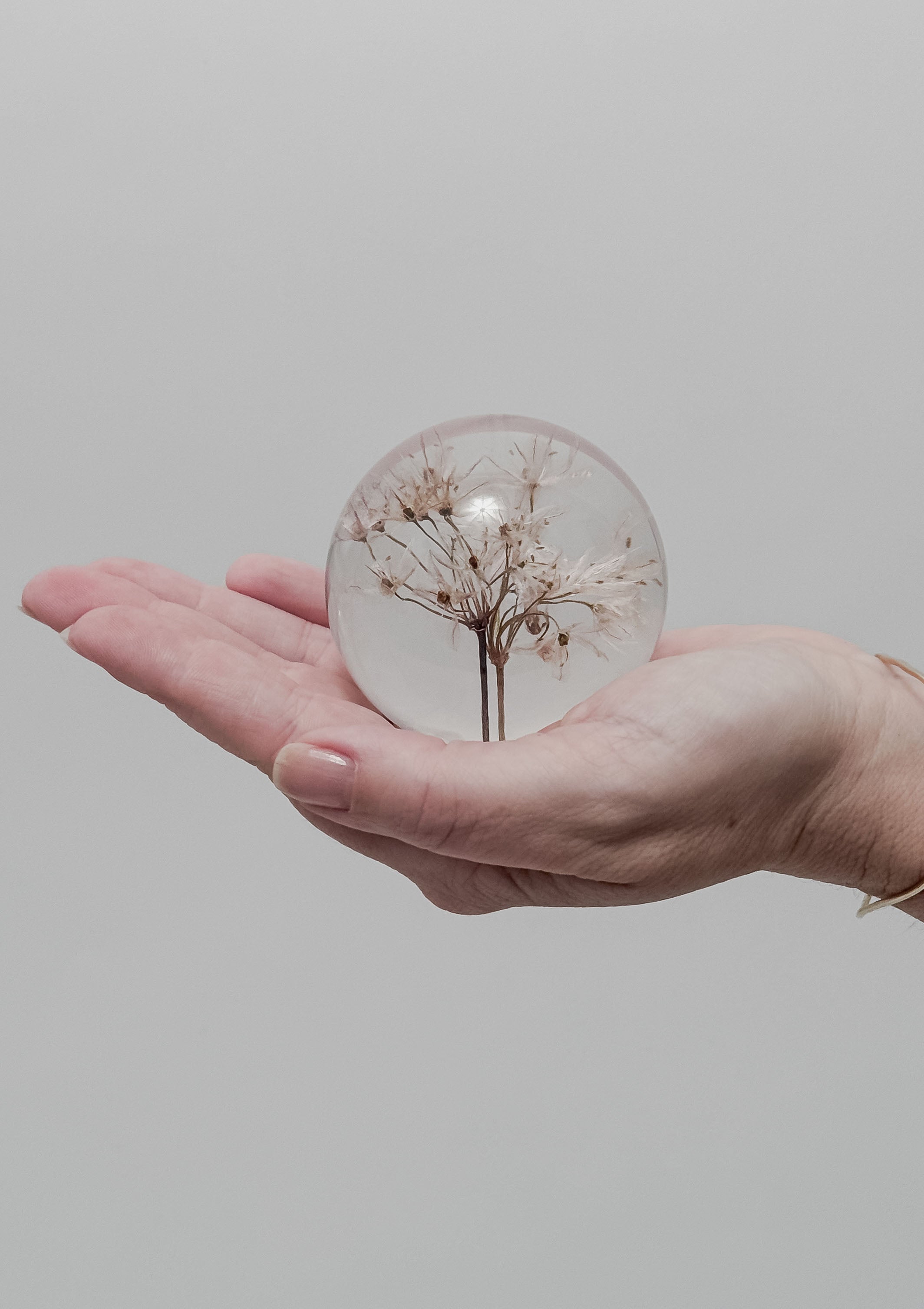 Garlic Small Paperweight