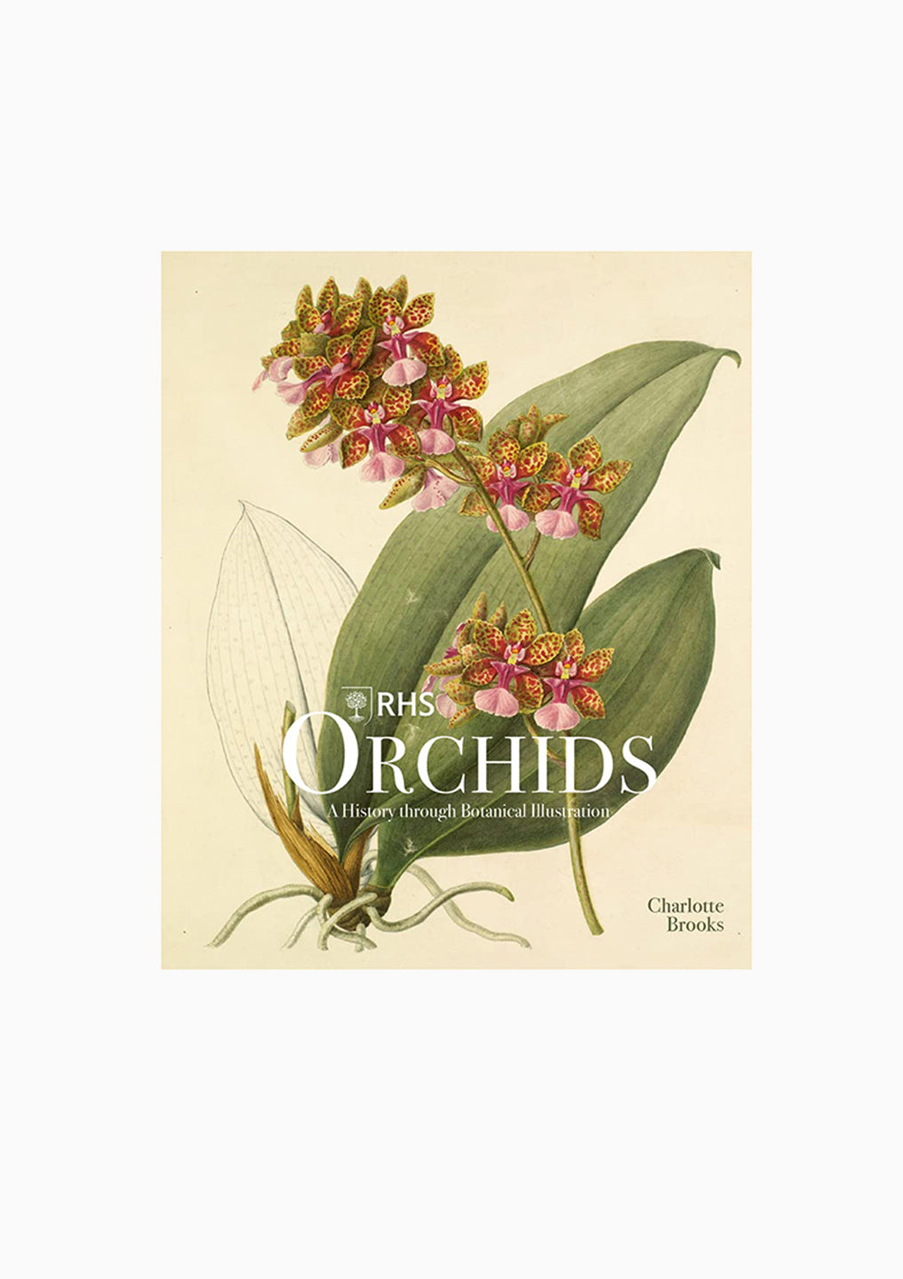 Orchids