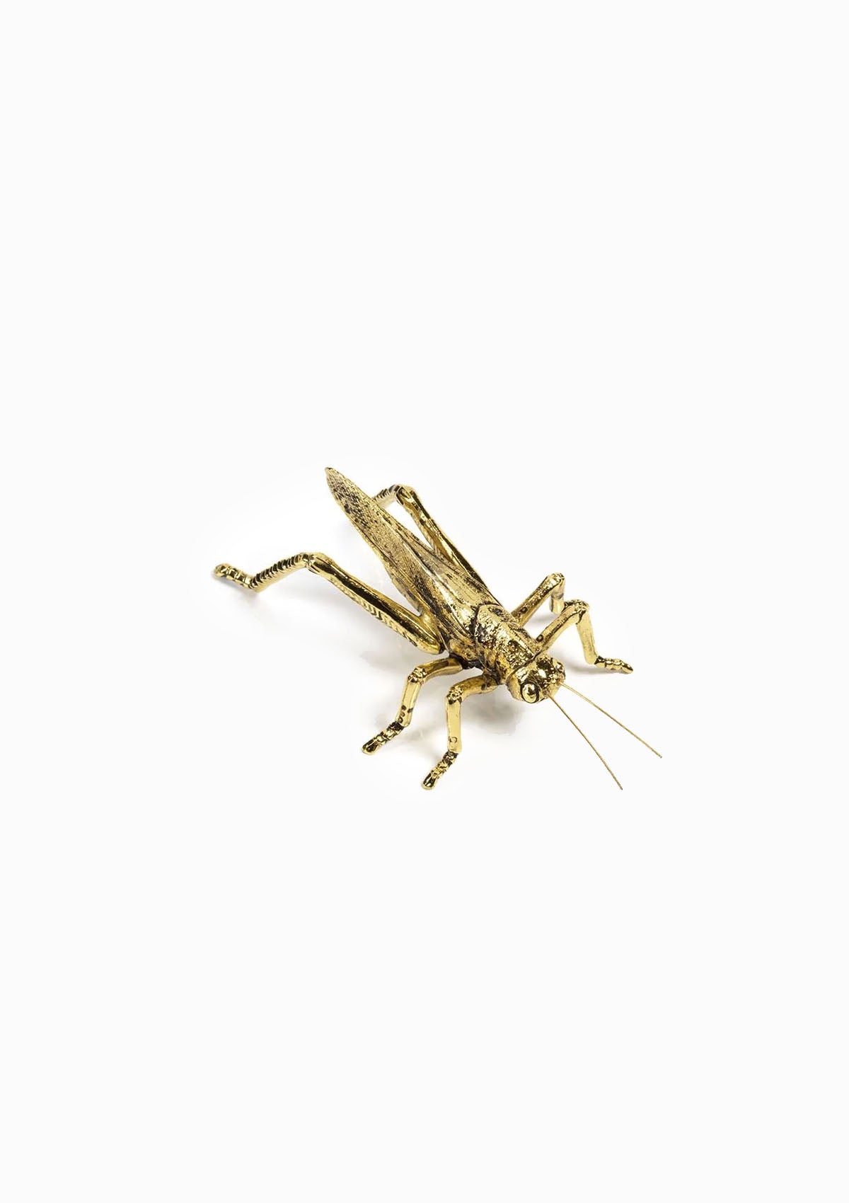 Decorative Gold Insect | Grasshopper