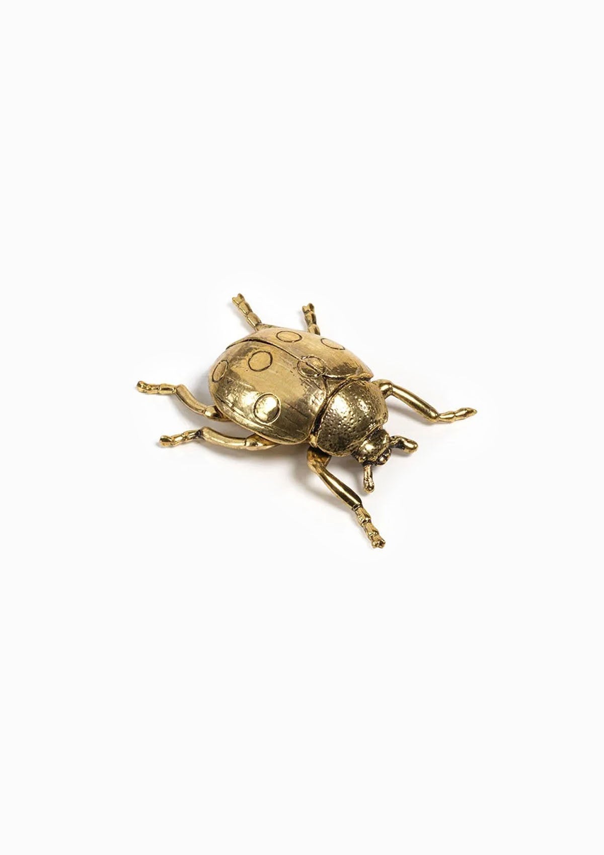 Decorative Gold Insect | Ladybug