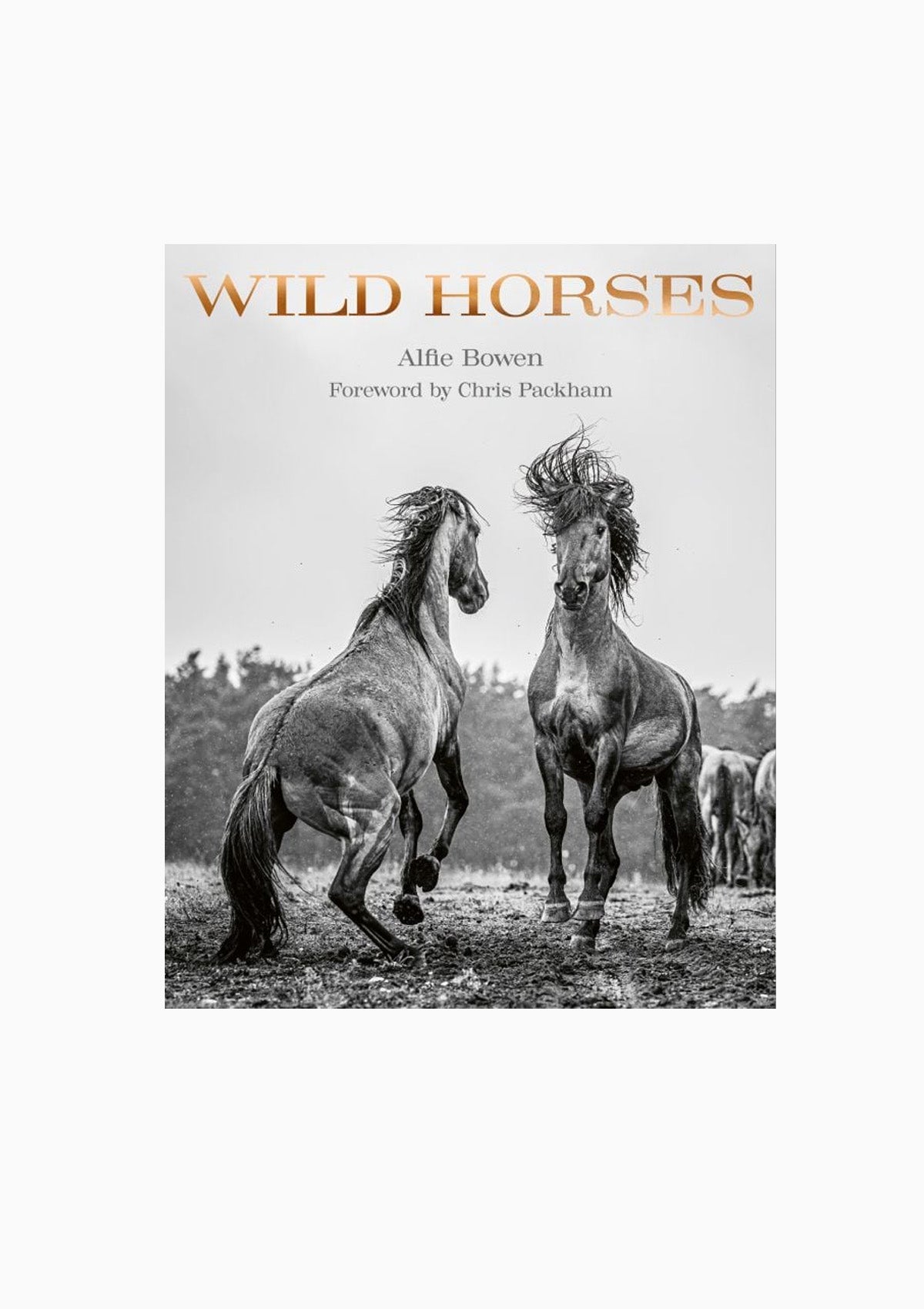 Wild Horses