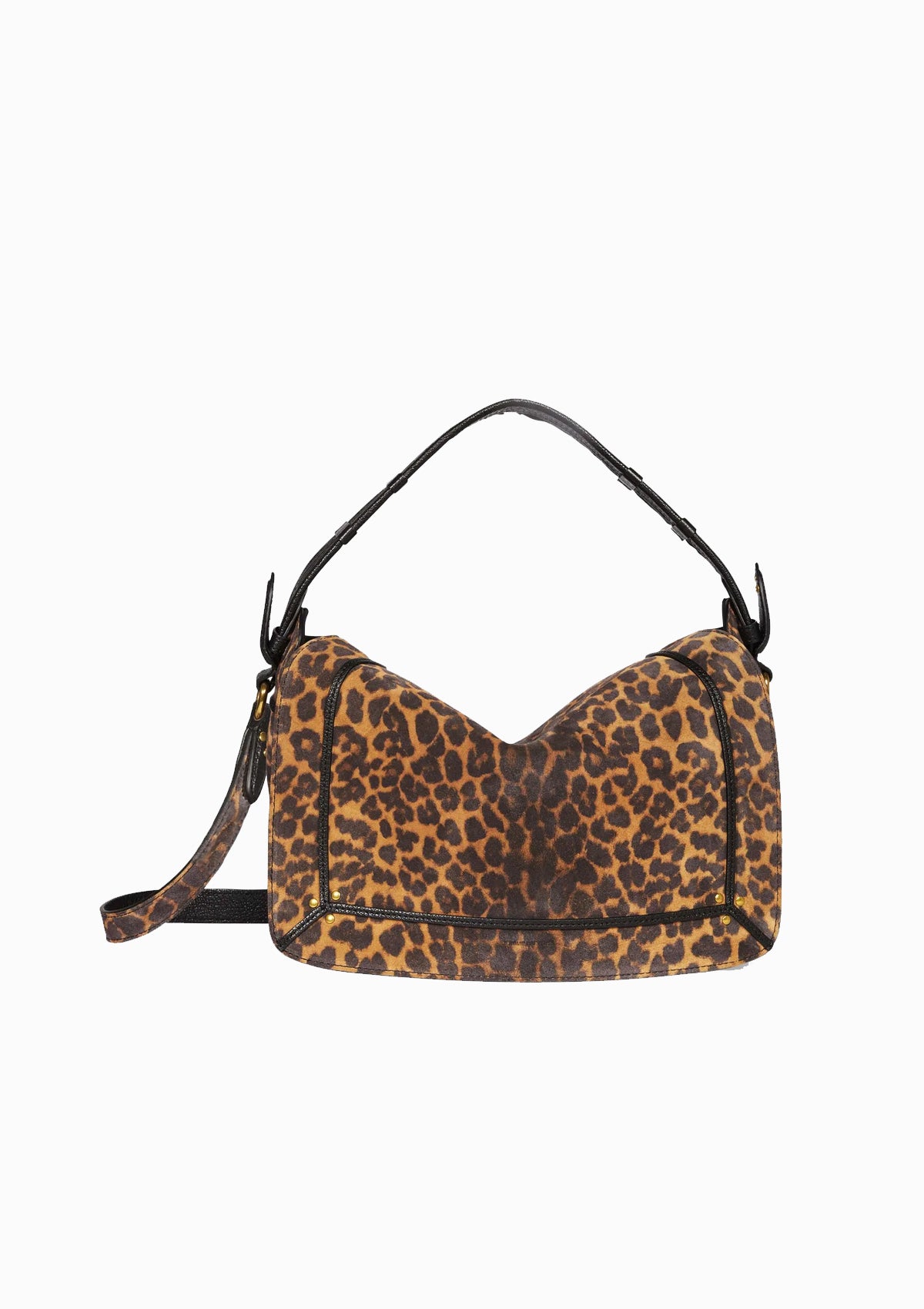 Pepito M | Leopard Chamois