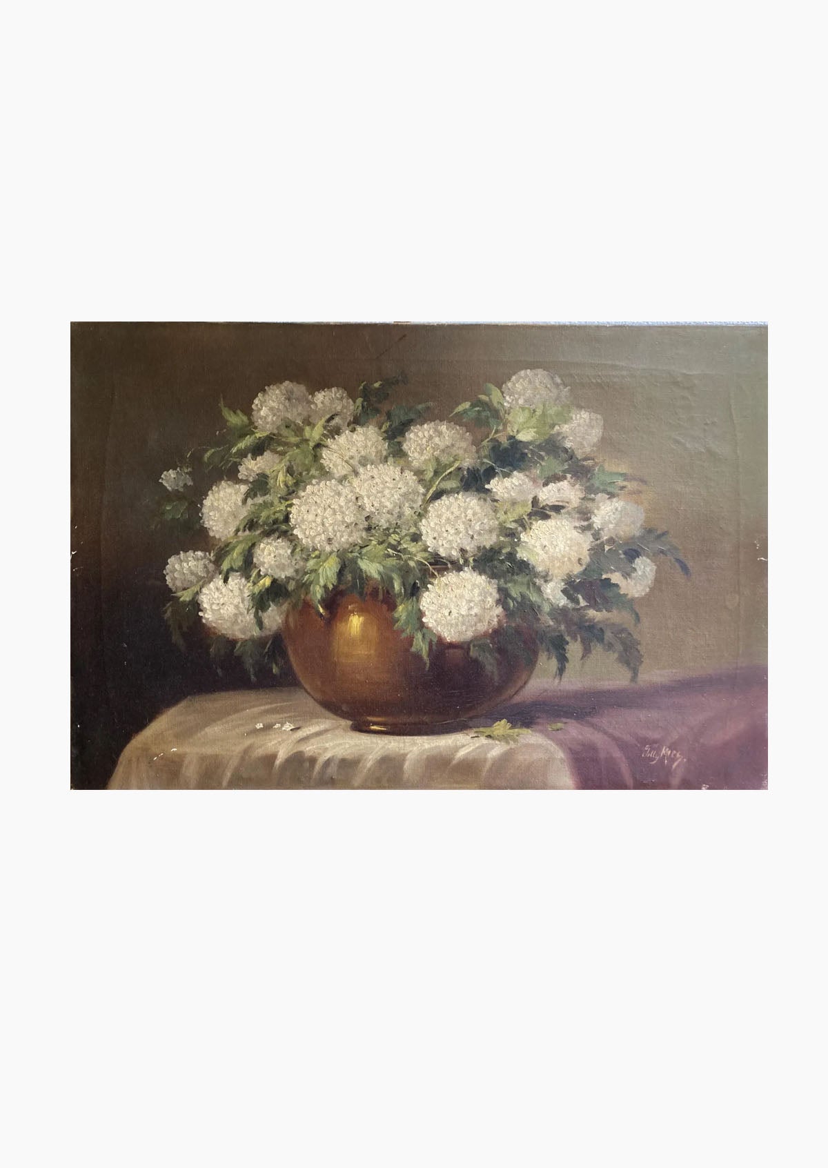 Original Antique Dutch "Snowball" Flower Oil Painting | 15.5" x 23.5"