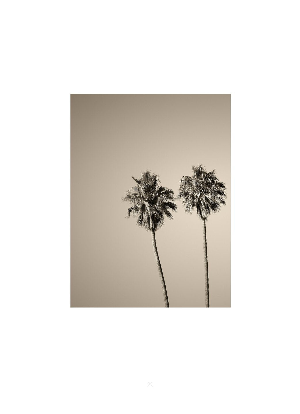 Twin Palms | 4.5" x 6" | Umounted